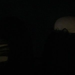 Meet your Posher, Liz